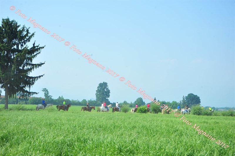 DSC_0822.JPG